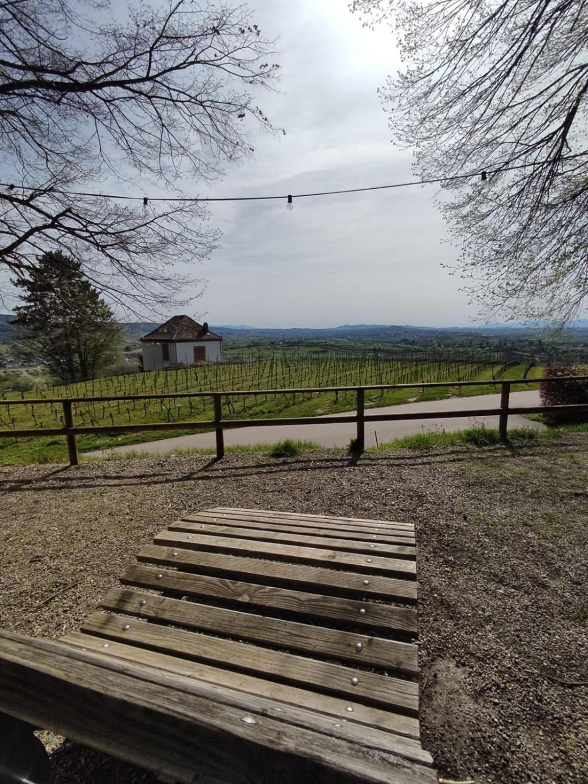 Appartement Sulzbachtal In Lahr, Naehe Europapark, Naehe Rulantica ลาร์ ภายนอก รูปภาพ